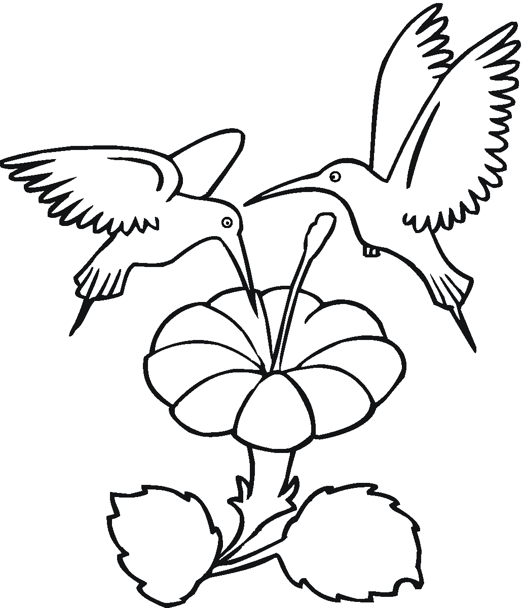 Free printable hummingbird coloring pages for kids pãginas para colorear de flores pãginas para colorear para imprimir gratis diseãos de arte bordados a mano