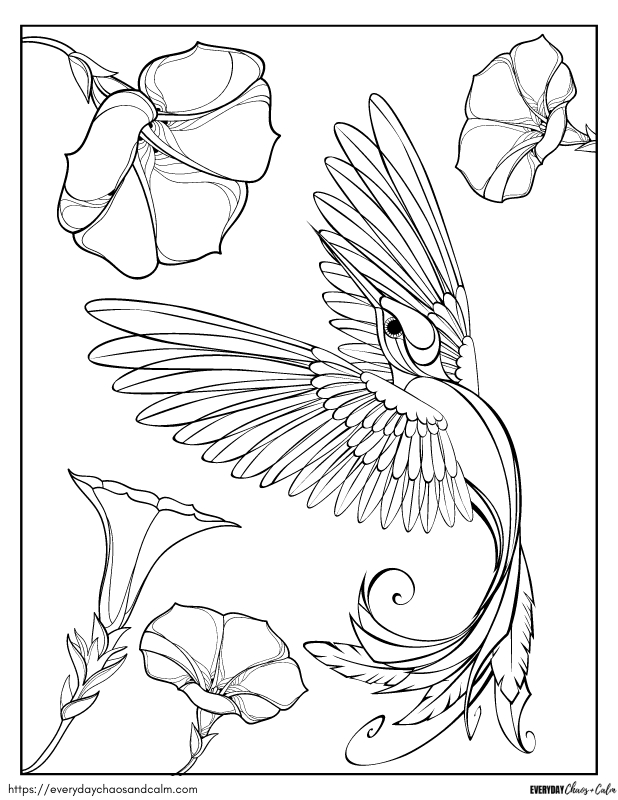 Free hummingbird coloring pages for kids