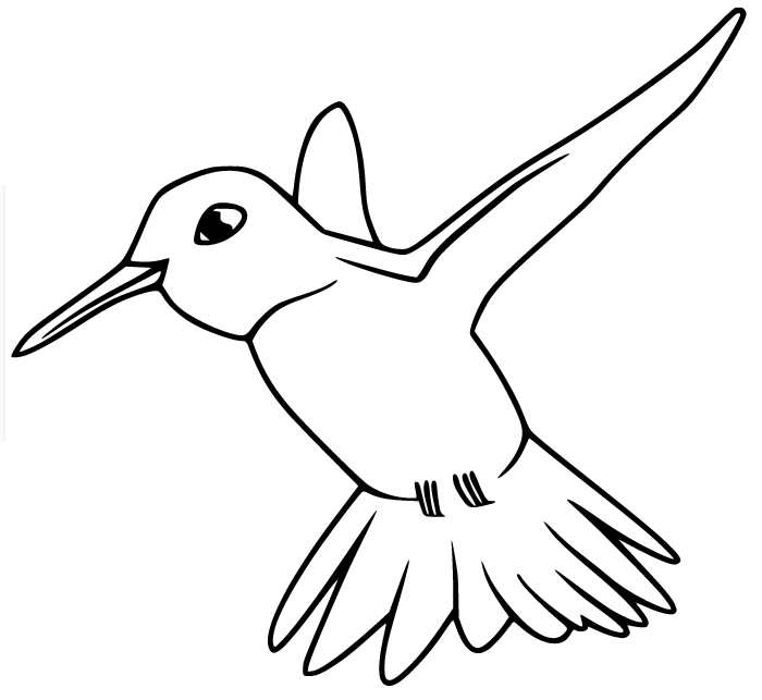 Hummingbird coloring pages printable for free download