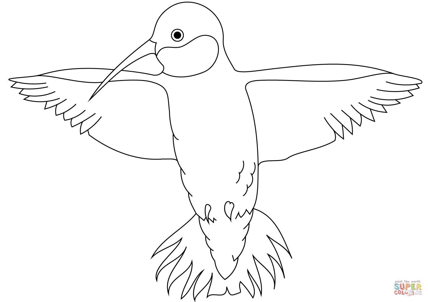 Hummingbird coloring page free printable coloring pages