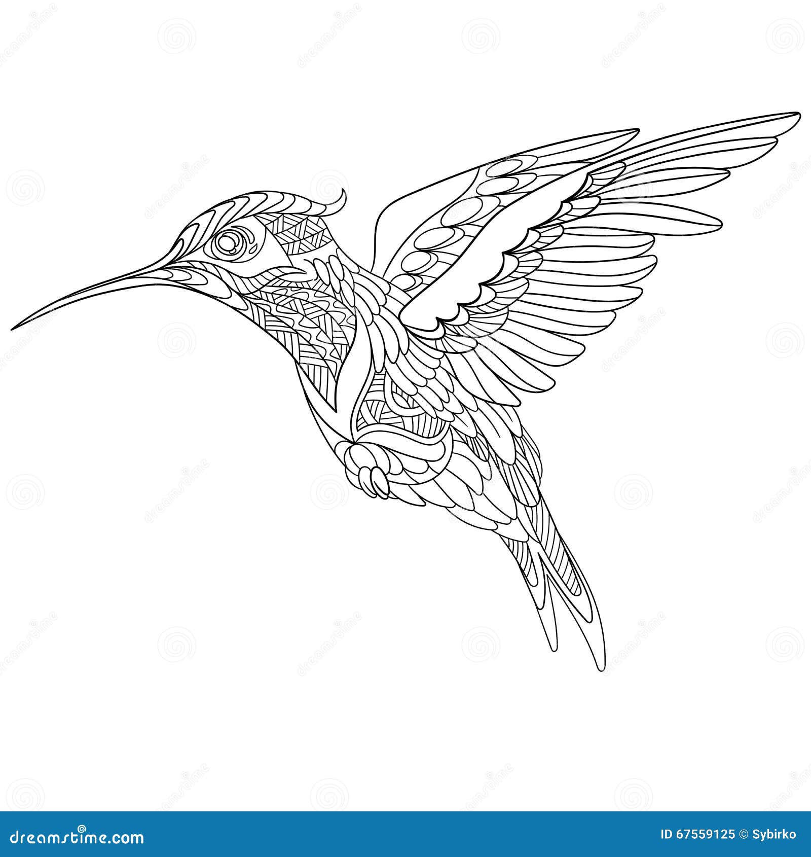 Hummingbird adult coloring page stock illustrations â hummingbird adult coloring page stock illustrations vectors clipart