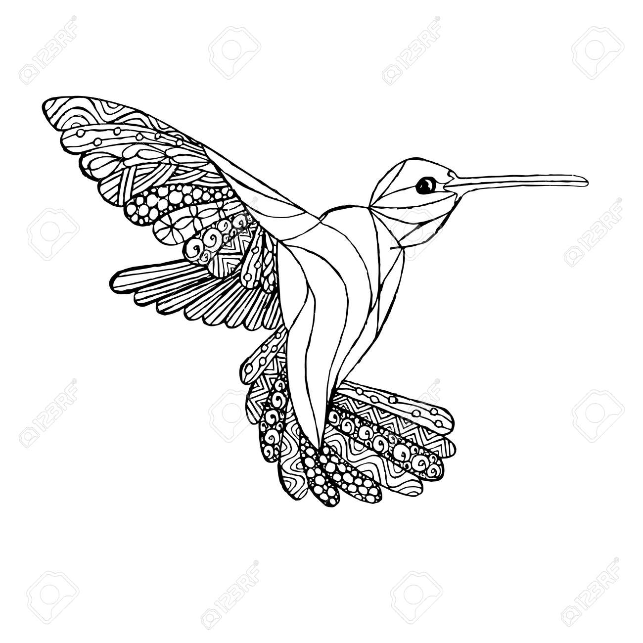 Hummingbird monochrome sketch coloring page antistress stock vector illustration for print for coloring page royalty free svg cliparts vectors and stock illustration image