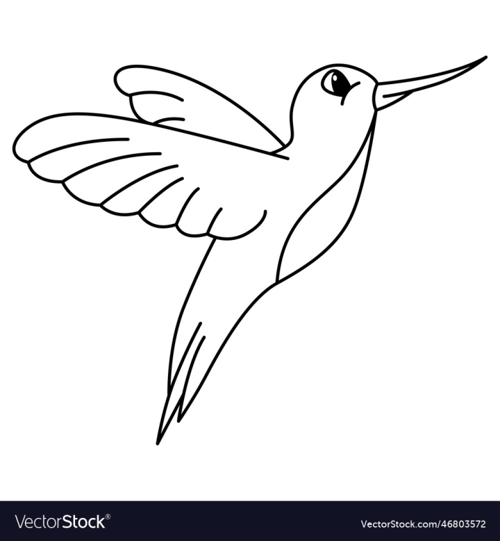 Free cute humming bird cartoon coloring page