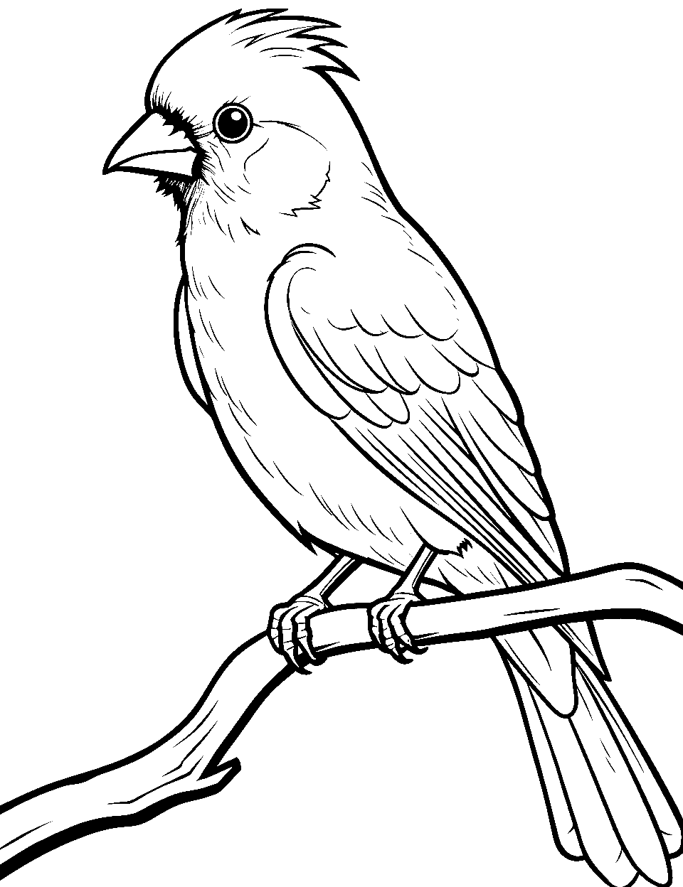 Bird coloring pages free printable sheets