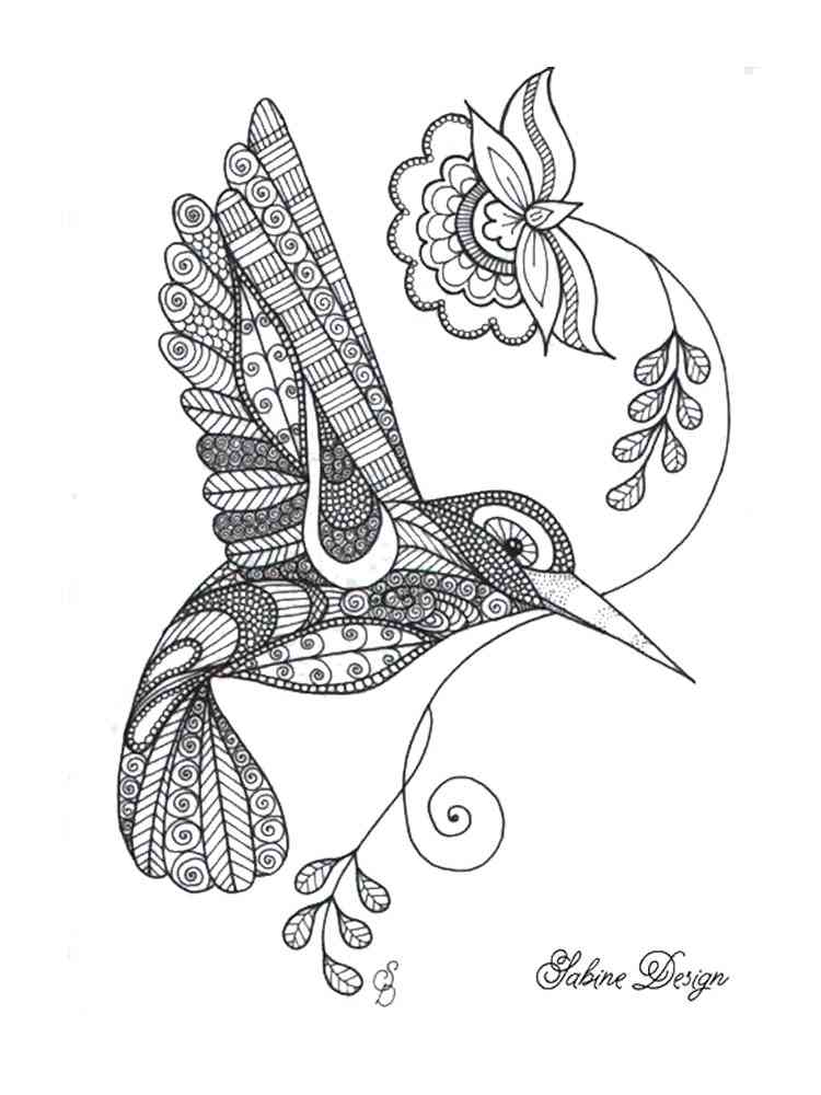 Hummingbird coloring pages for adults