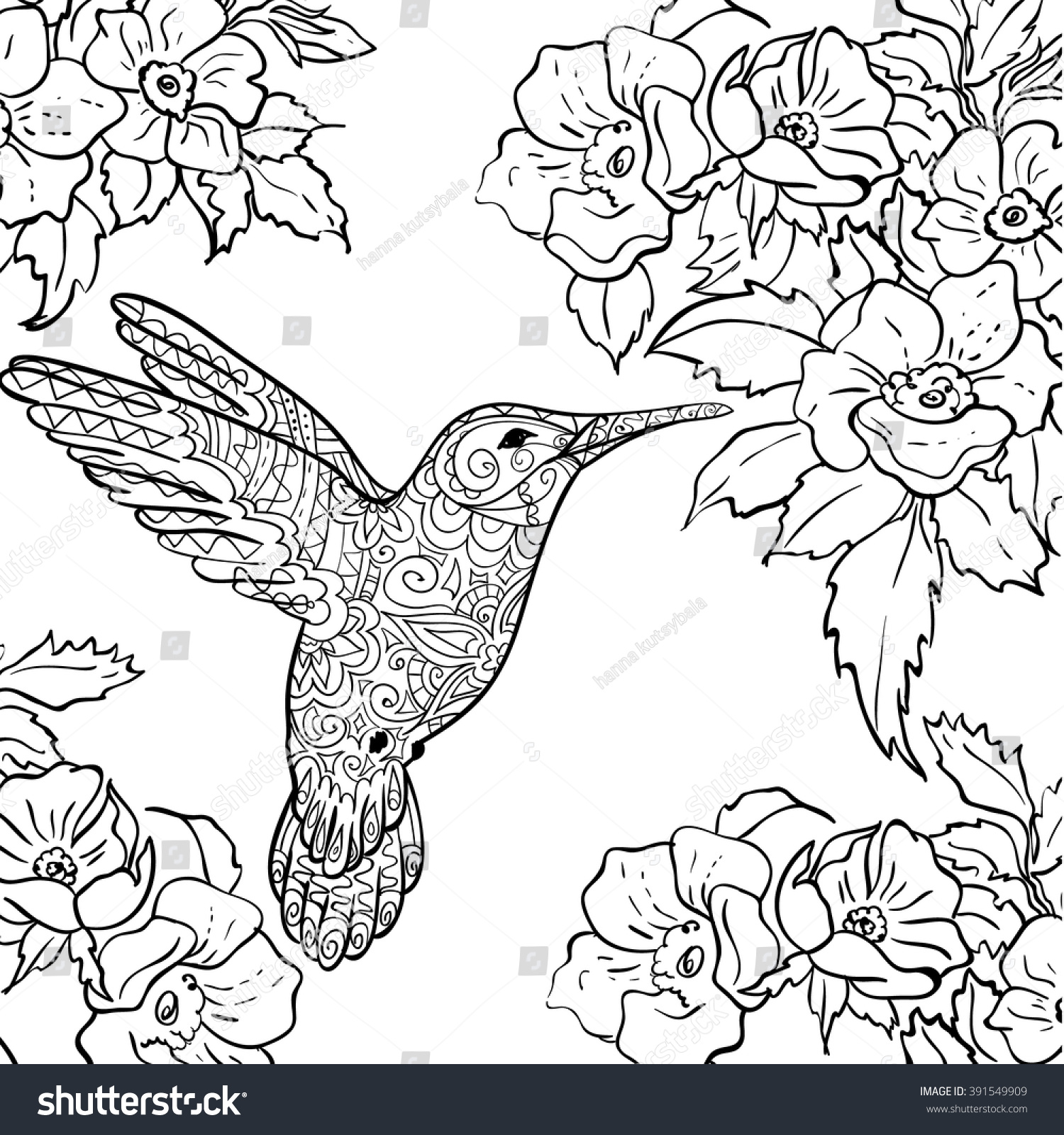 Sketch hummingbird flying around flowers full stock vector royalty free