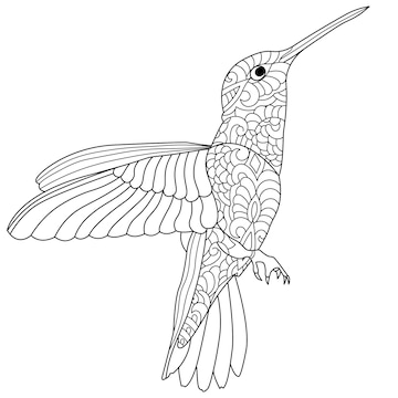 Premium vector beautiful hummingbird line art illustration for coloring book pages