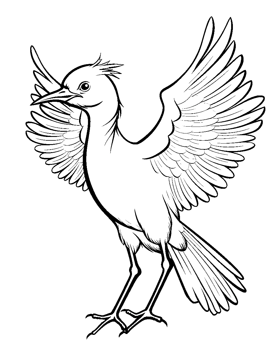 Bird coloring pages free printable sheets