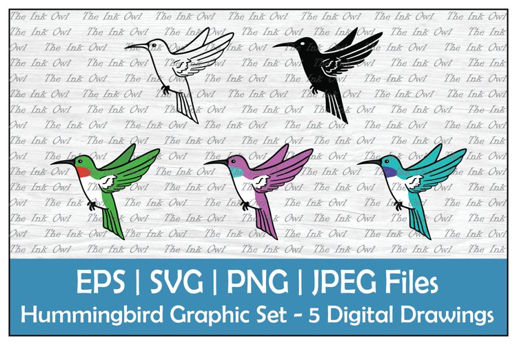 Hummingbird outline silhouette color clipart