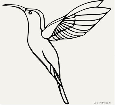 Hummingbird coloring pages free printable pages for kids