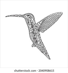 Humming birds coloring pages photos and images