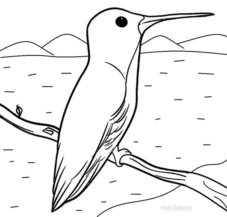 Printable hummingbird coloring pages for kids bird coloring pages coloring pages online coloring pages