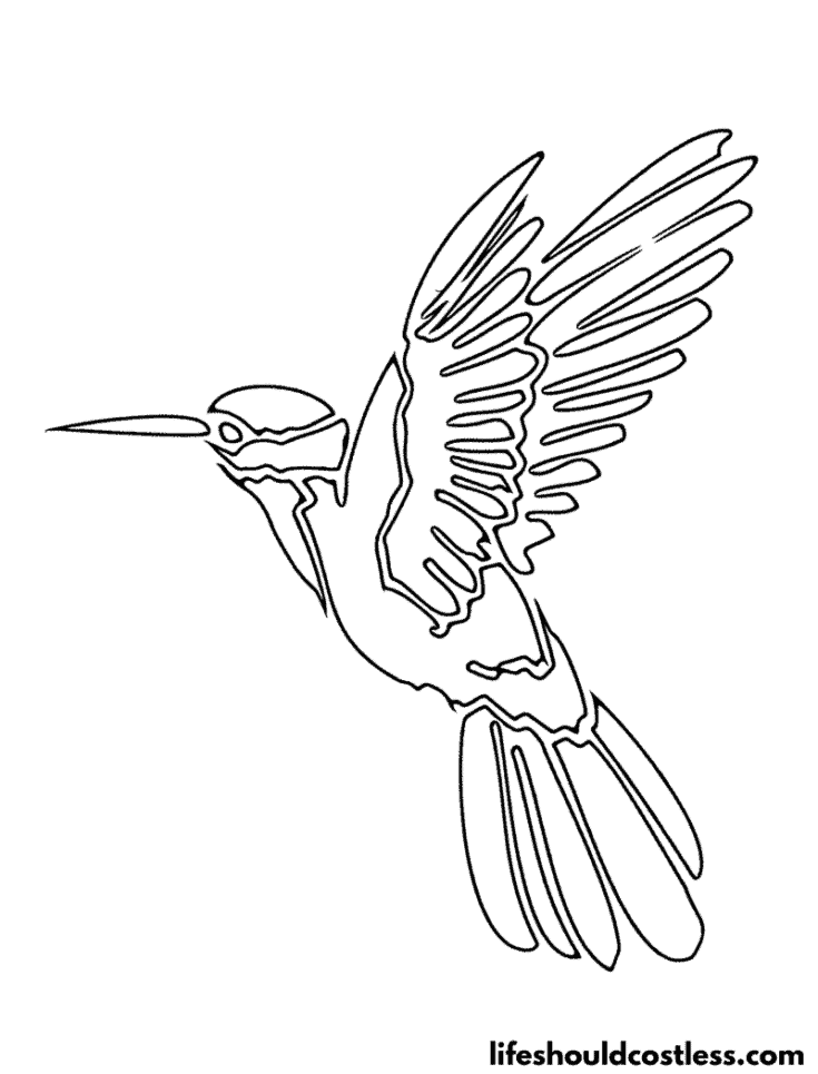 Hummingbird coloring pages free printable pdf templates