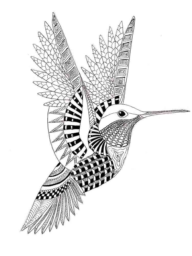 Hummingbird coloring pages for adults