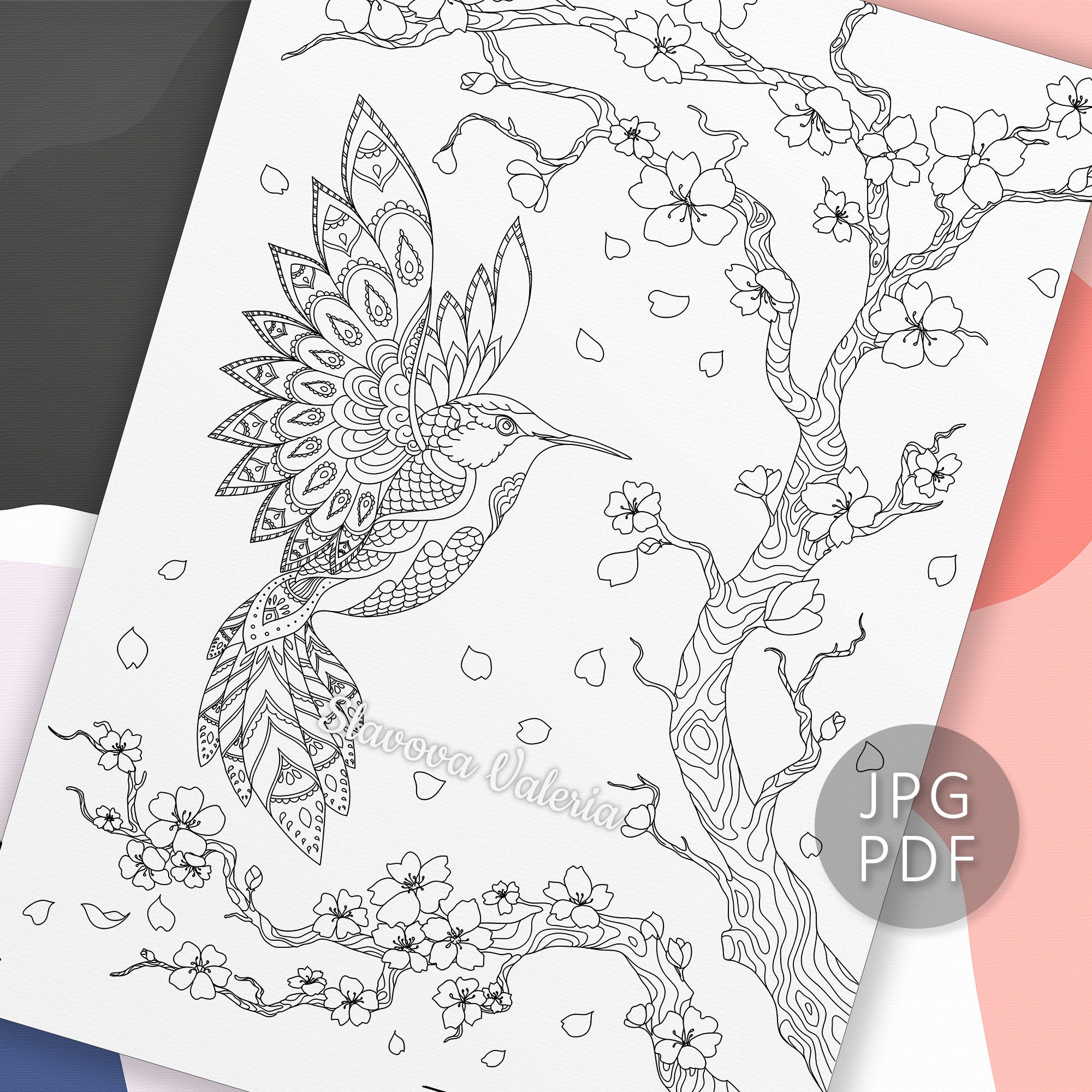 Hummingbird and sakura coloring page printable coloring page hummingbird flowers digital coloring sheet