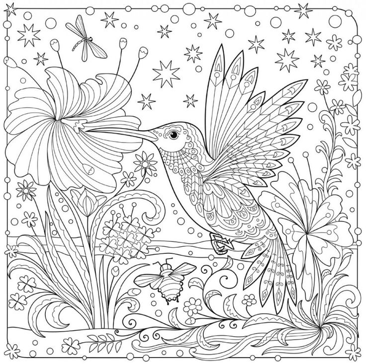 Printable coloring pages bird coloring pages animal coloring pages ocean coloring pages