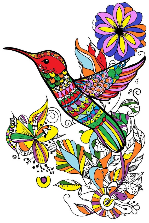 Humming bird coloring sheet for adults printable coloring page mid