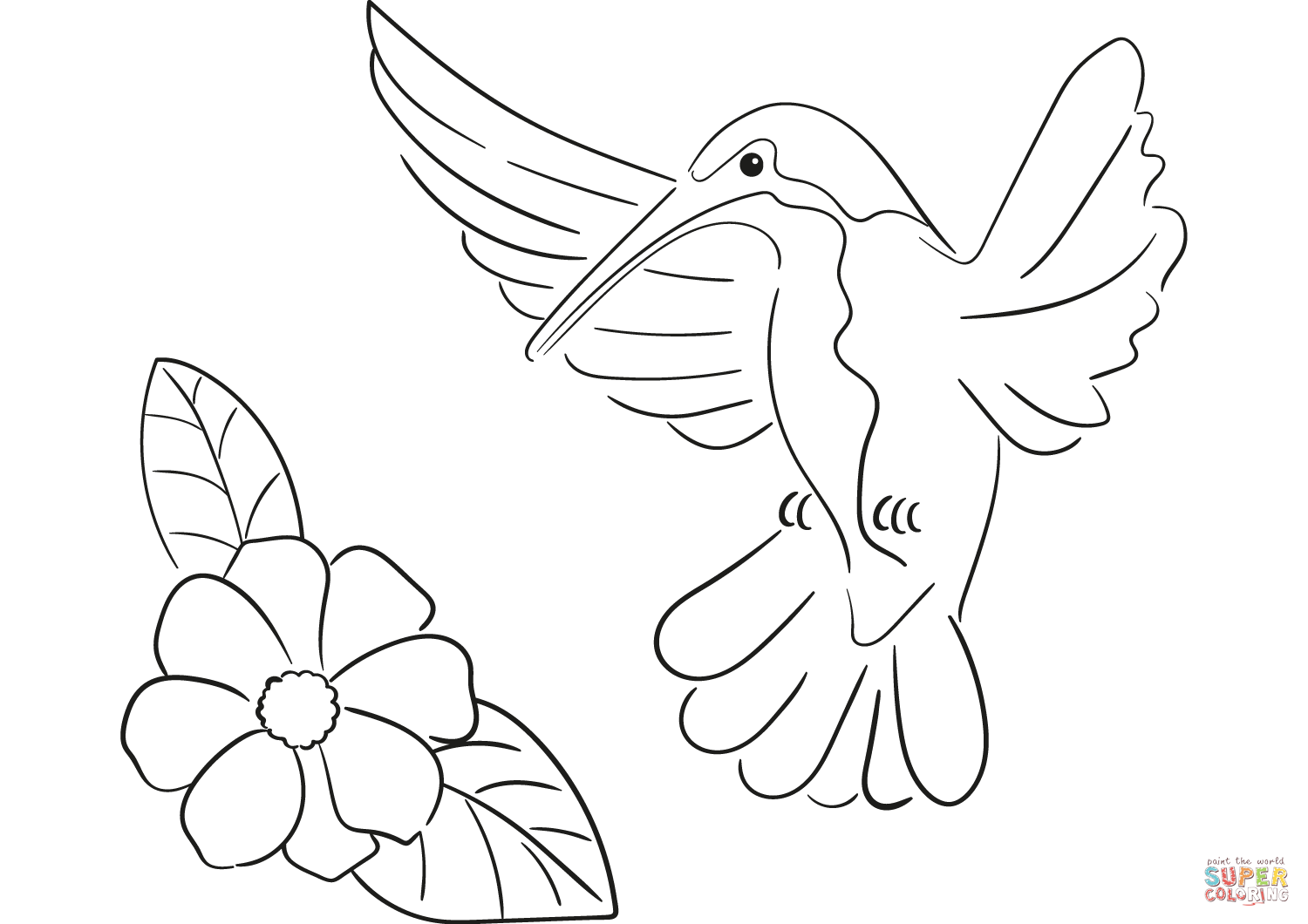 Hummingbird coloring page free printable coloring pages