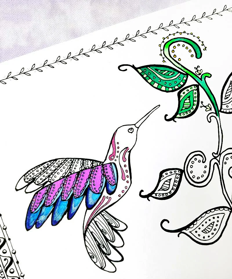 Hummingbird coloring page