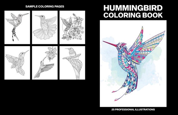 Printable hummingbird coloring pages bird coloring sheets