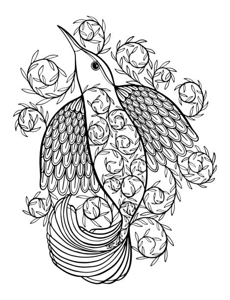 Coloring pages coloring book for adults beautiful template with artwork school educationbird hummingbird and twigs stock illustration