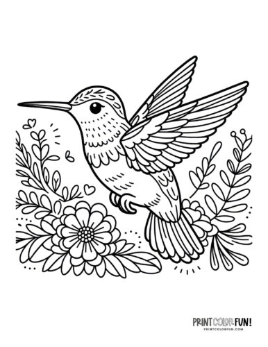 Hummingbirds coloring pages color clipart at