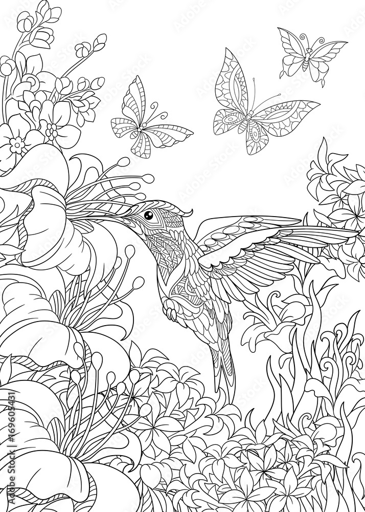 Coloring page of hummingbird butterflies and hibiscus flowers freehand sketch drawing for adult antistress coloring book in zentangle style vector