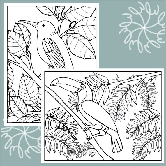 Coloring page for adults printable coloring pages hummingbird coloring pages coloring page for mom digital download birds coloring page