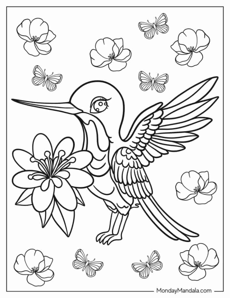 Hummingbird coloring pages free pdf printables