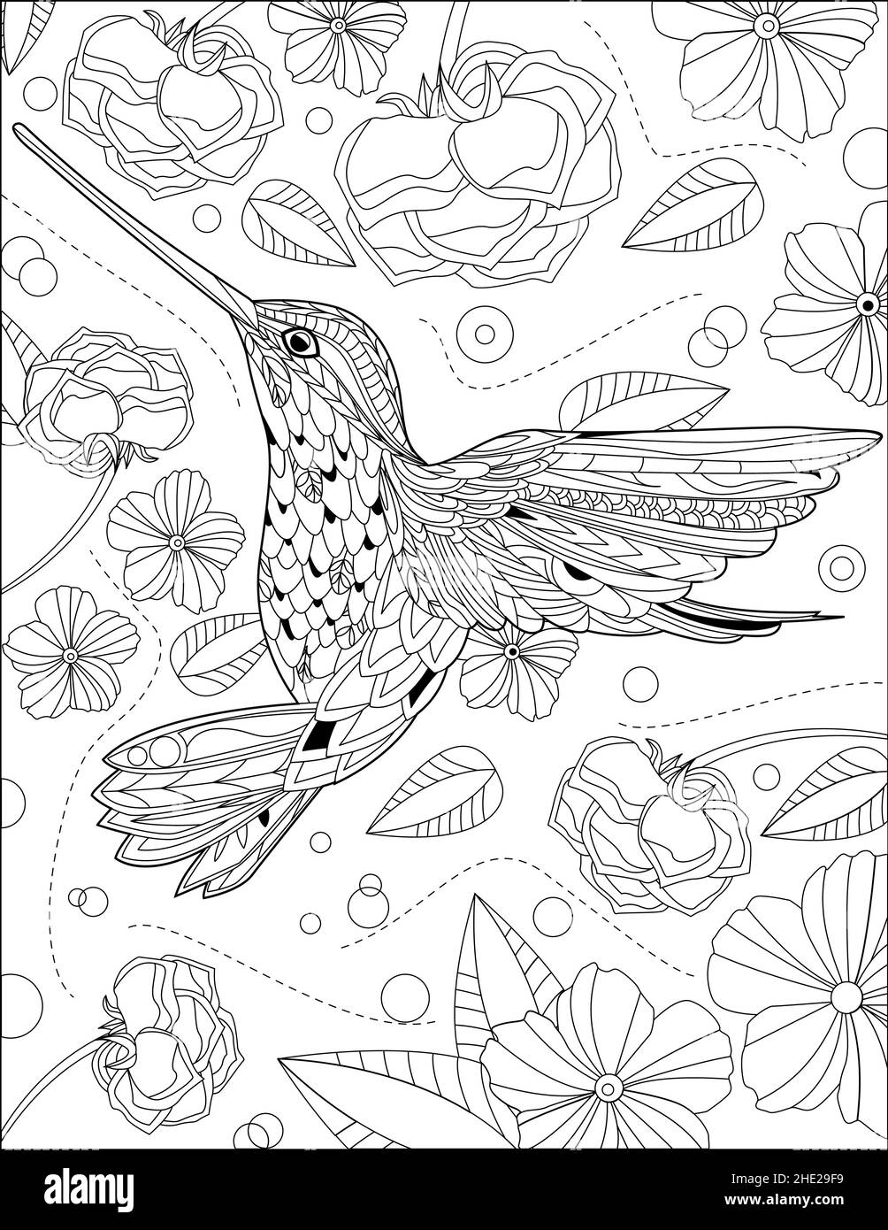 Hummingbird eating flower syrup with flowers and roses surrounding line drawing coloring book stock vector image art