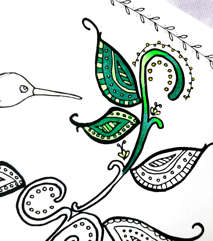 Hummingbird coloring page