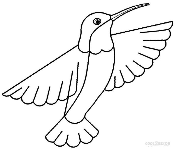 Hummingbird bird coloring pages hummingbird colors coloring pages to print