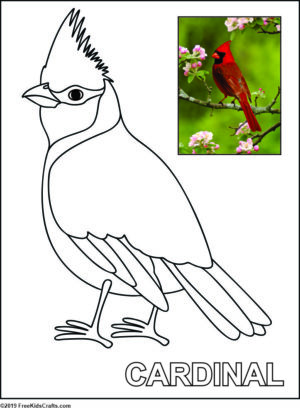 Printable bird coloring pages