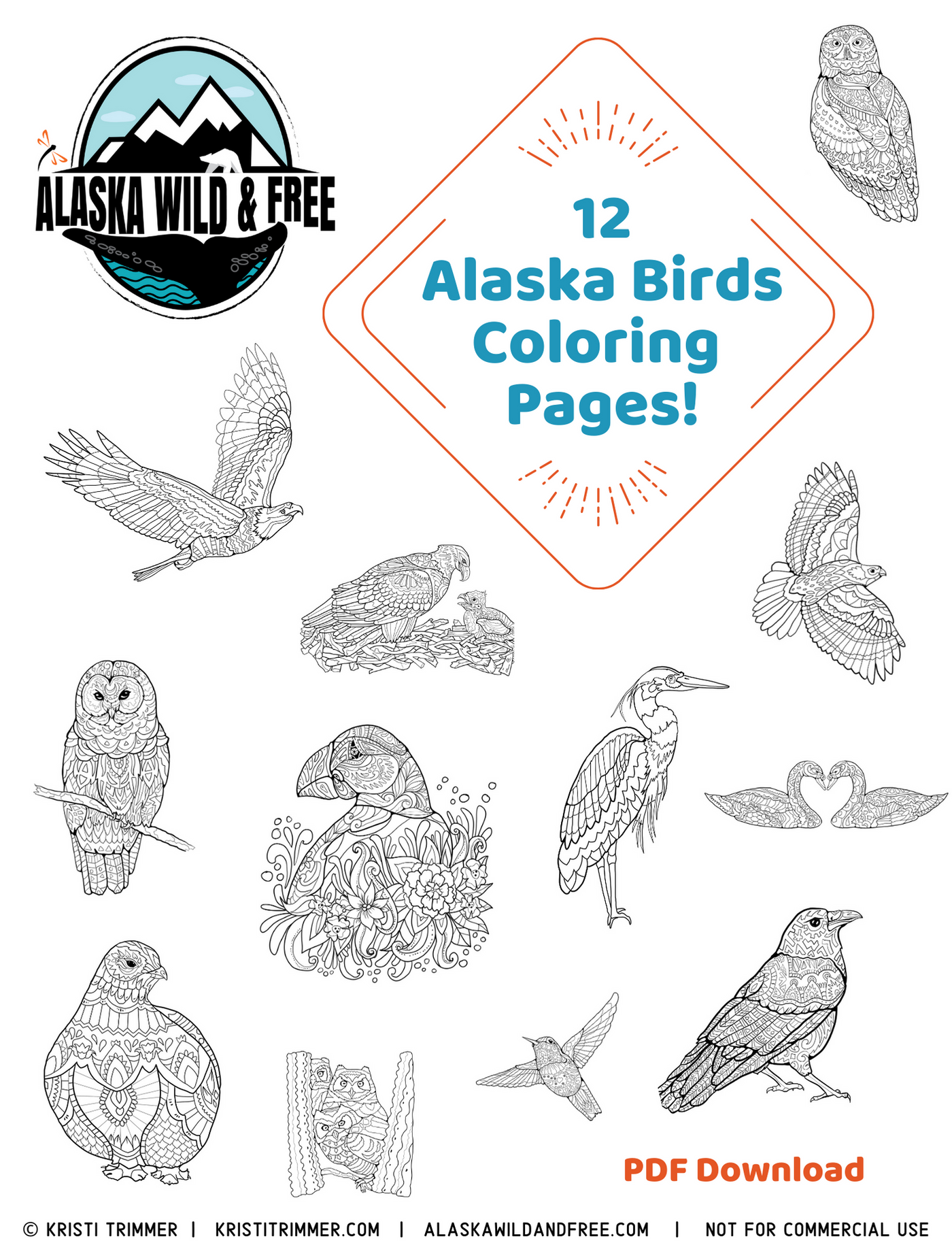 Color alaska bird coloring pages â alaska wild free