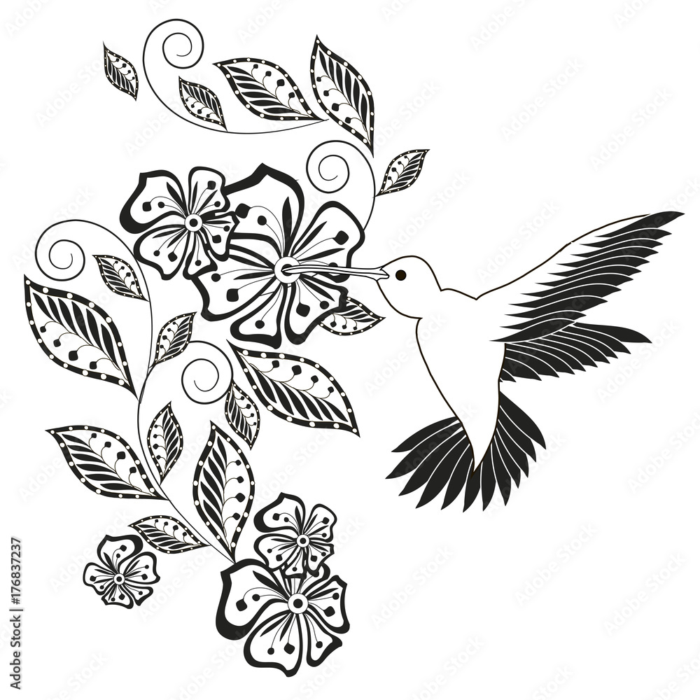 Monochrome hand drawn decorative floral element hummingbird for coloring page print tattoo vector illustration vector