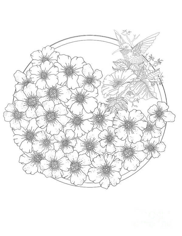 Flower wreath coloring page with hummingbird art print by lisa brando