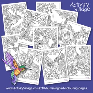 Printable bird louring pages for kids