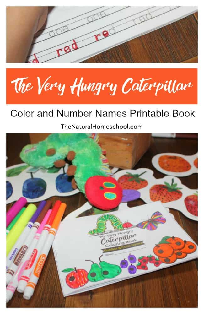 The very hungry caterpillar printable book color and number names