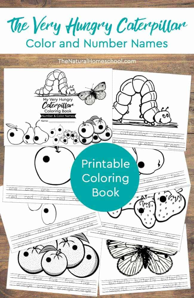 Free the very hungry caterpillar printable book color and number names