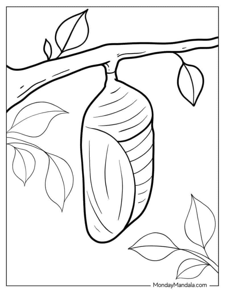 Caterpillar coloring pages free pdf printables