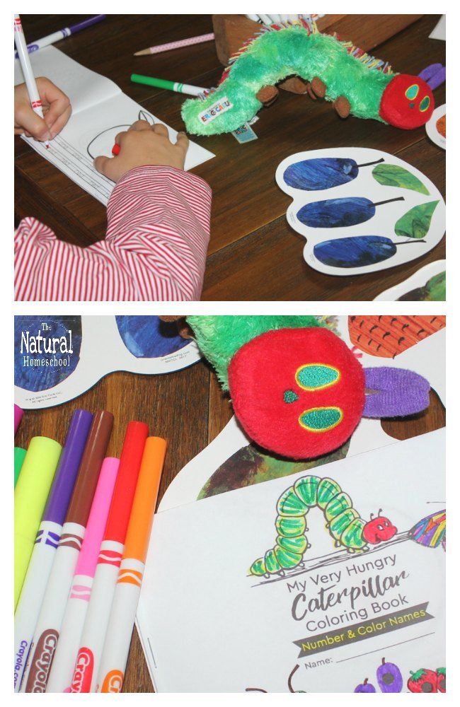 The very hungry caterpillar printable book color and number names