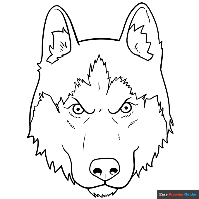 Husky face coloring page easy drawing guides