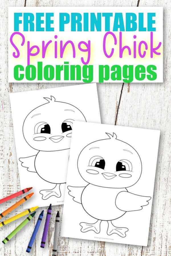 Free printable baby chick coloring page â simple mom project