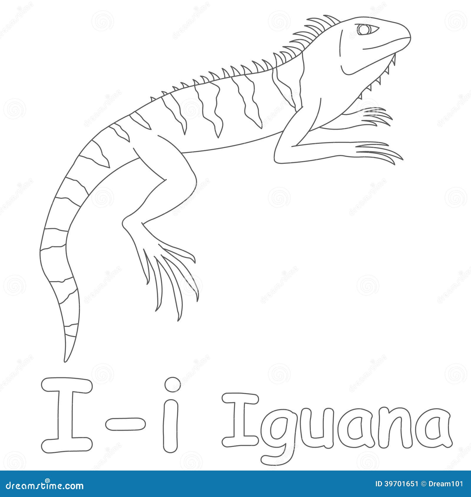 Iguana coloring page stock illustrations â iguana coloring page stock illustrations vectors clipart