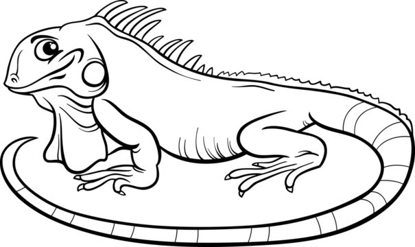 Iguana cartoon coloring book vector