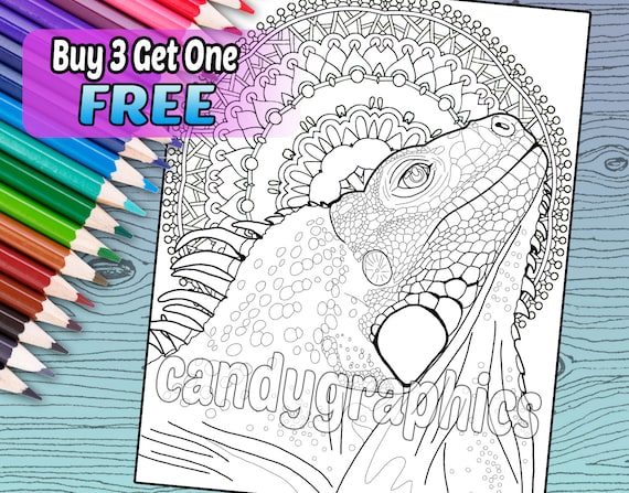 Iguana adult coloring book page printable instant download