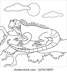 Iguana coloring pages photos and images pictures