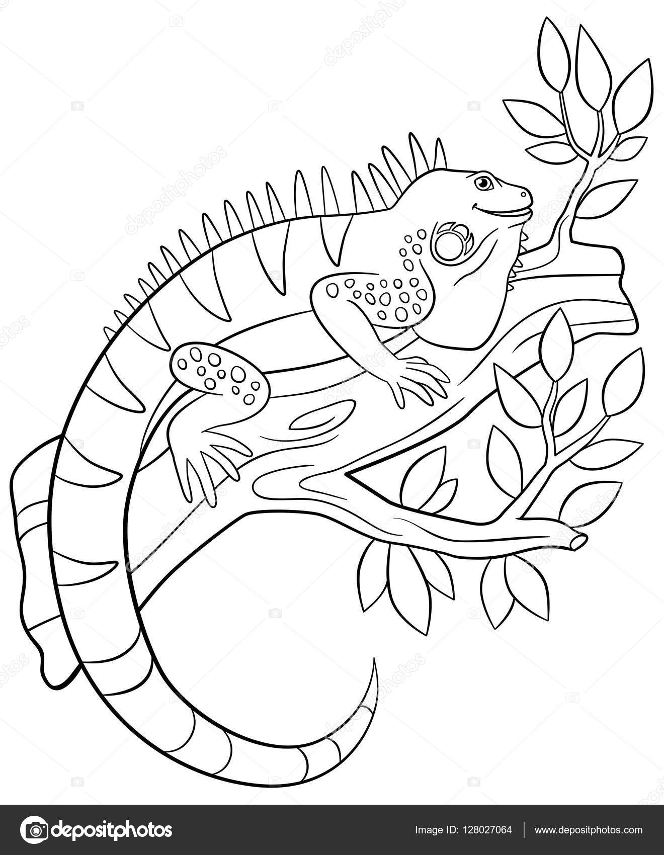 Coloring pages cute iguana sits on the tree branch stock vector by ya