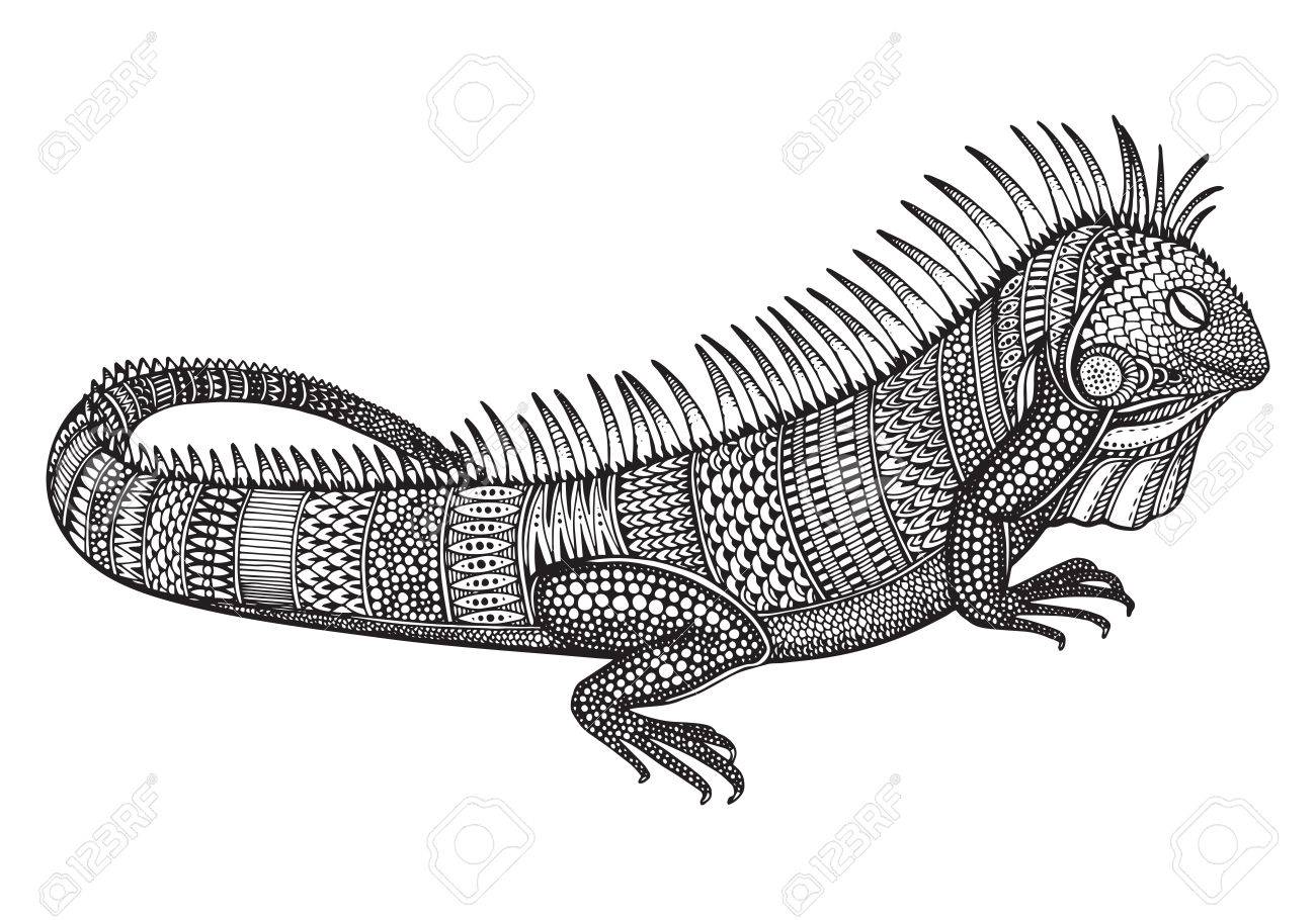 Hand drawn graphic ornate iguana with ethnic doodle patternvector illustration for coloring book tattoo print on t