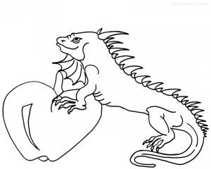 Iguana coloring pages printable coloring pages animal coloring pages family coloring pages